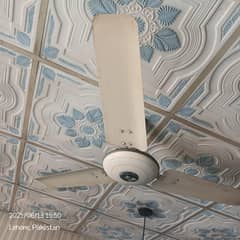Ceiling fan