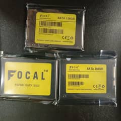 Focal