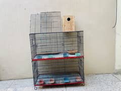 Big Cage For Sale