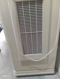 plastic body cooler medium size