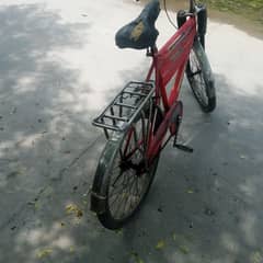 cycle