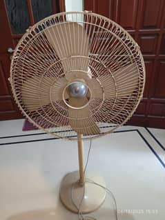 wahid pedestal fan standing pankha