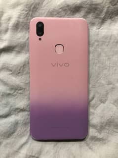 vivo