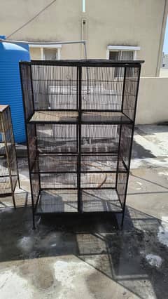 birds cages