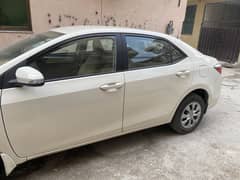 2019 model white Toyota Corolla GLI Auto