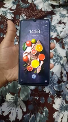 vivo