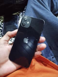 iphone 12mini