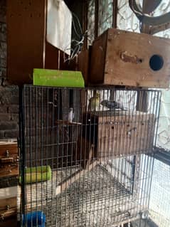 Cages