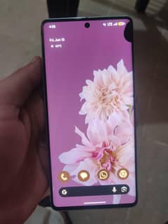 pixel 7 pro approved dual sim