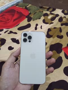 Apple iPhone 12 pro golden colour