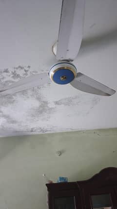 ceiling fan
