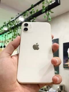 iPhone 11 physical dual sim pta approved 128gb