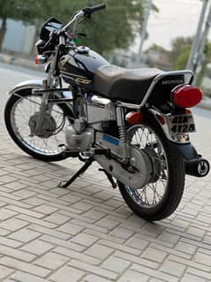 Honda 125 sluf start. 2024 model