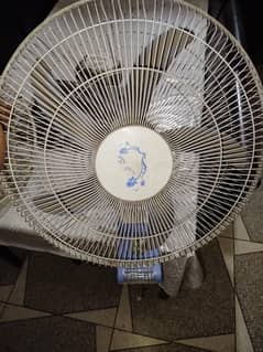 Makkah fan