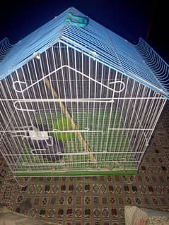 For Sale