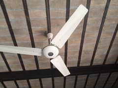 ceiling