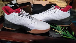 Adidas eg7972 shoes