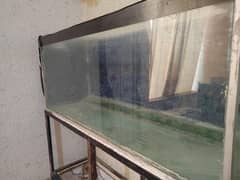 Aquarium for sale