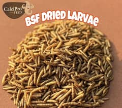 BSF (Dried larwa) mealworms high quality calcium protein omega 3 +6