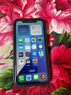 Xr