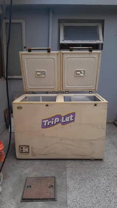 double door deepfreezer