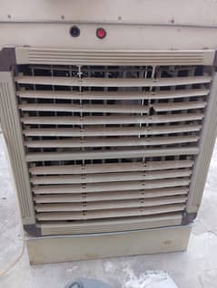 solar coler for sale