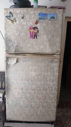 fridge  full size company dawlance