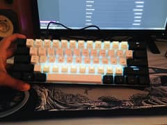 Snpurdiri Machanical Keyboard 61% Keyboard