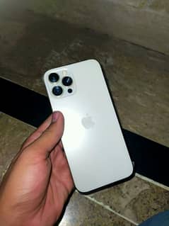 12 pro max