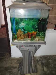 Fish