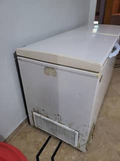 Waves double door deep freezer