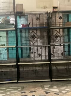 cages for birds