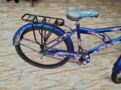 Big bicycle for sale