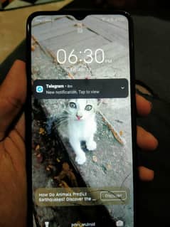 Tecno