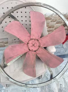 Fan