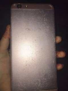 oppo