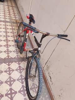 King Of road cycle