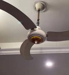 st ceiling fan 10/10