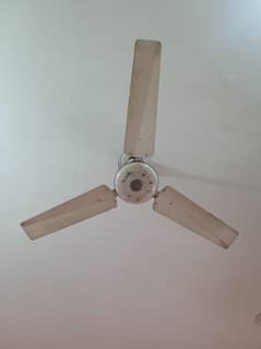 coper fan