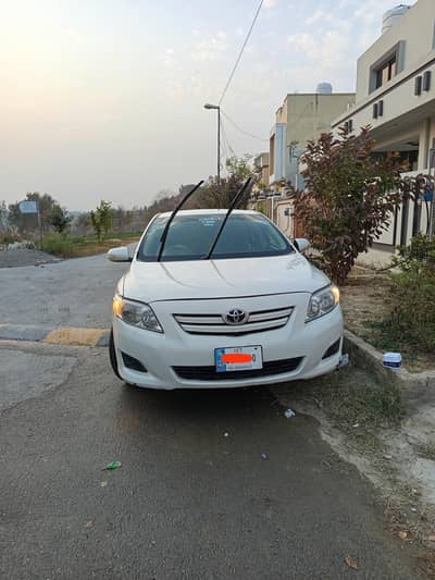 Corolla xli