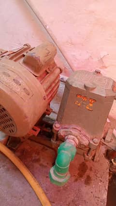 donkey pump for sale