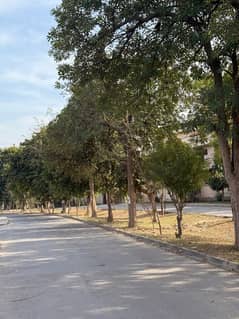 5 MARLA RESIDENTIAL PLOT AVAILABLE FOR SALE AT GREAT LOCATION IN EDEN Boulevard HOUSING SOCIETY COLLAGE ROAD LAHORE