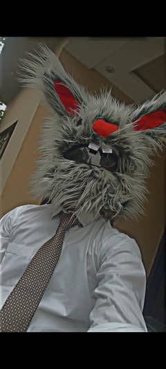 Rabbit/bunny helmet cover