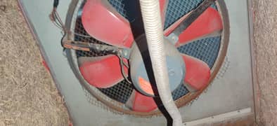 Air cooler