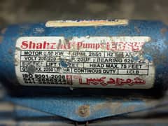 shehzad pumps
