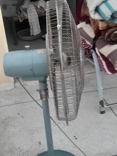 pedestal fan for sale