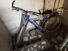 cycle urgent