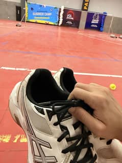 Asics professional badminton shoes