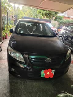corolla