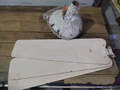 CEILING FAN FOR SALE
